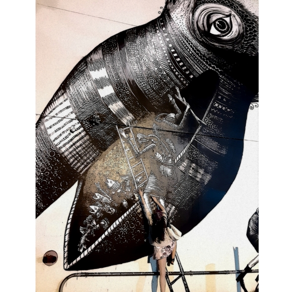 VVV | ALI & KO - Picture 5 of 6